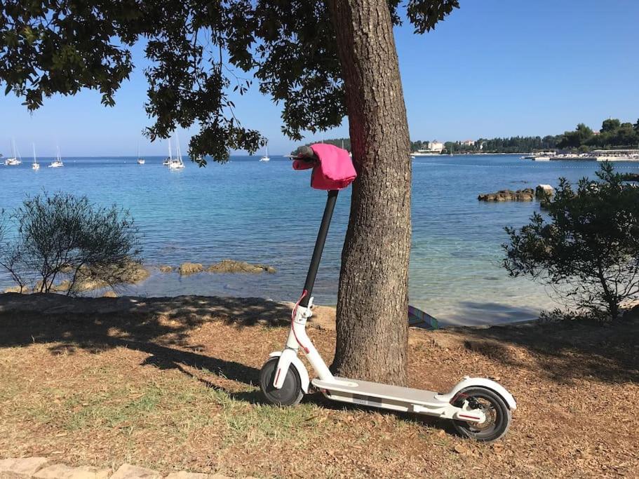 Apartment Capo D'Oro Rovinj Exteriér fotografie