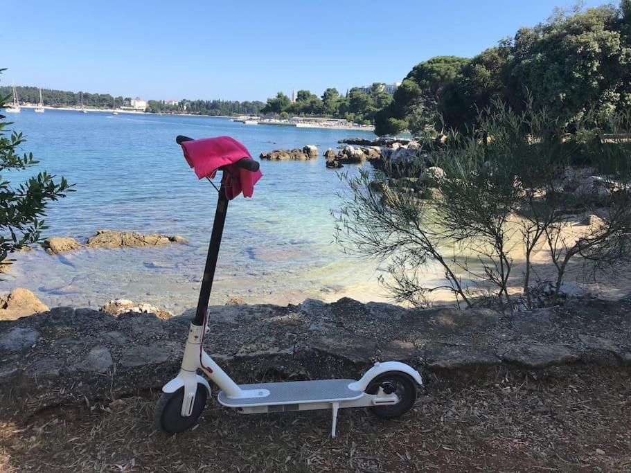 Apartment Capo D'Oro Rovinj Exteriér fotografie